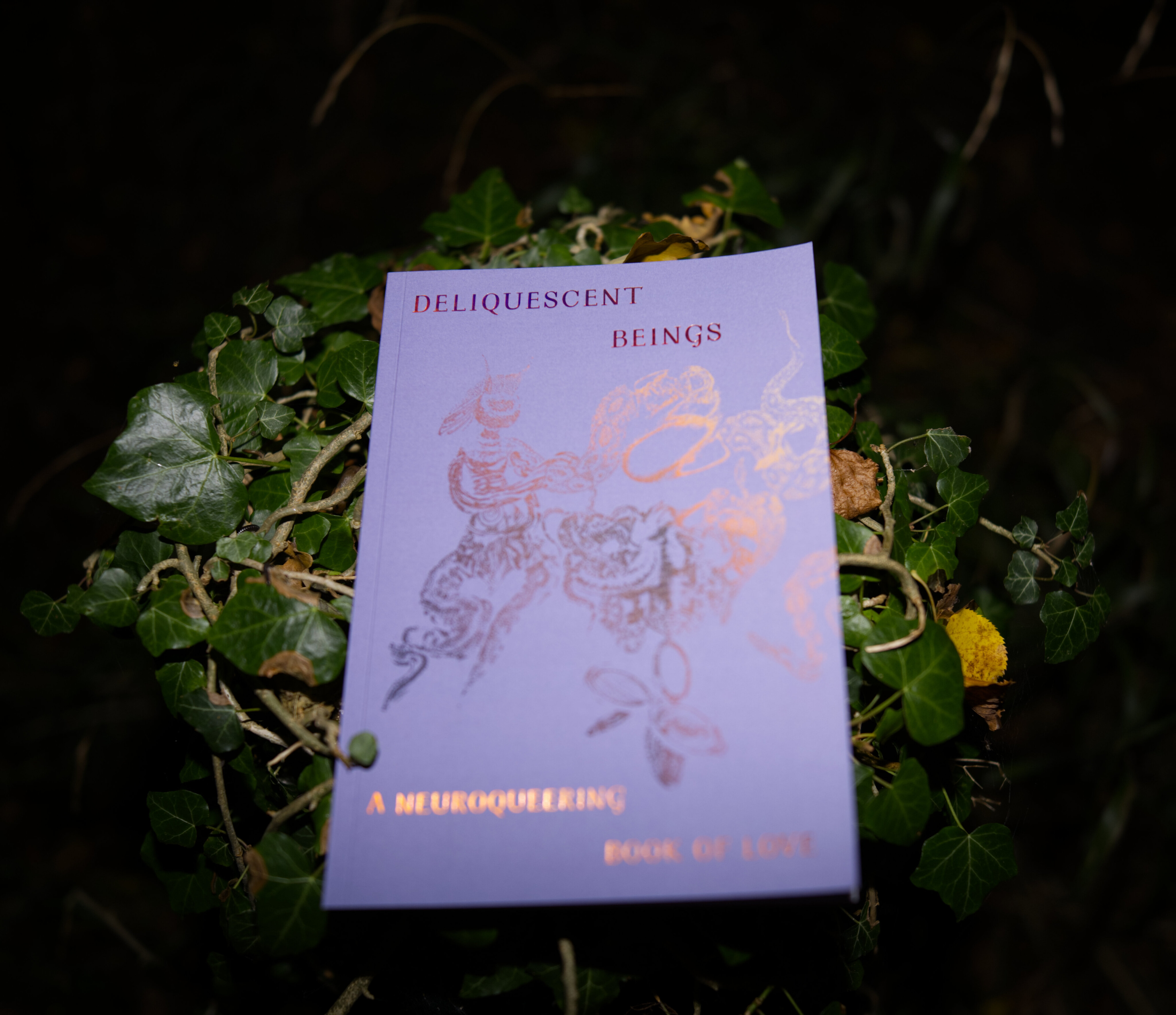 Neuroqueering.Network