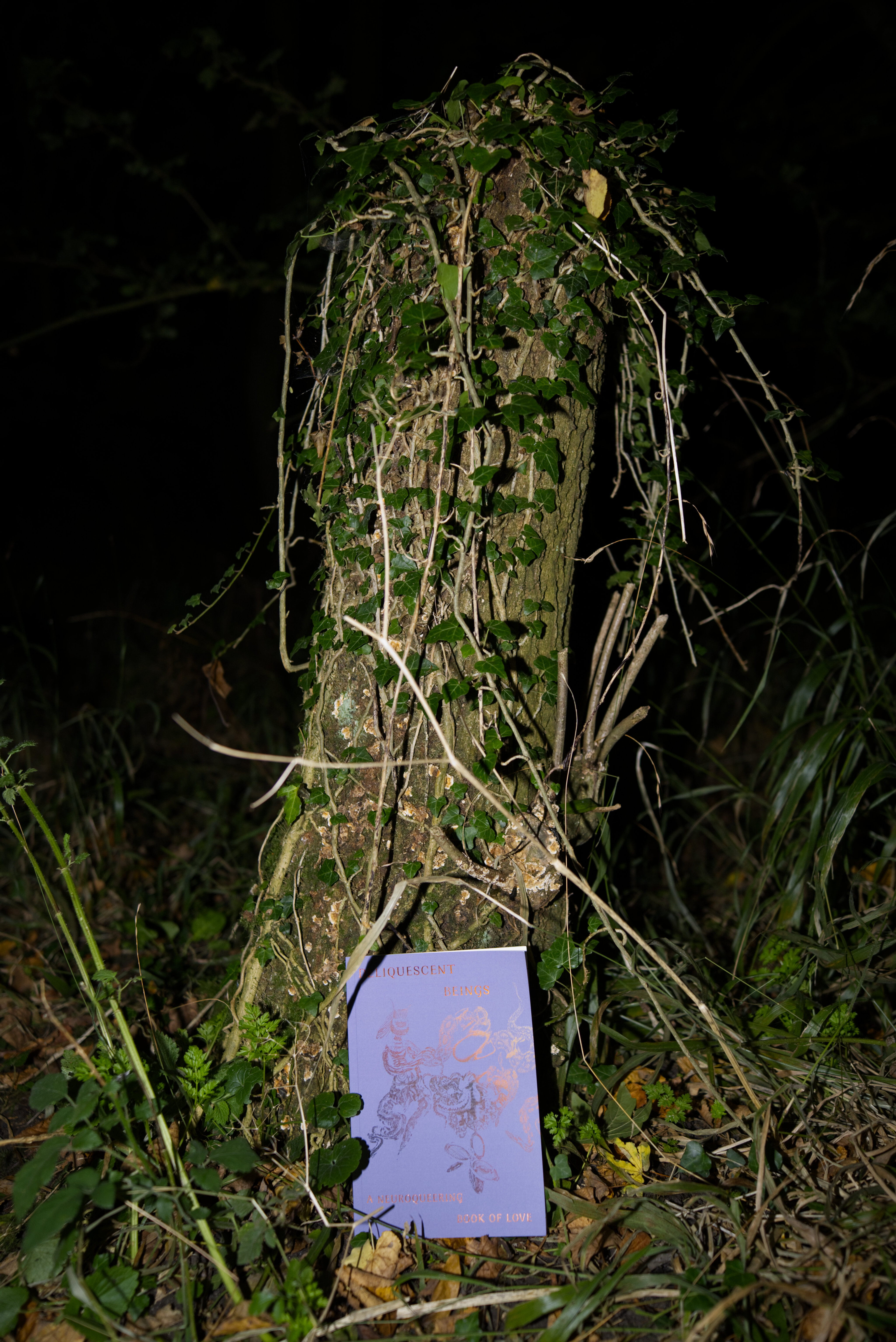 Neuroqueering.Network